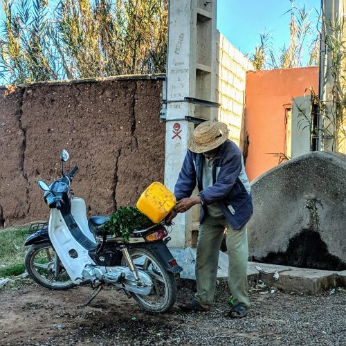 Marrakech the red city