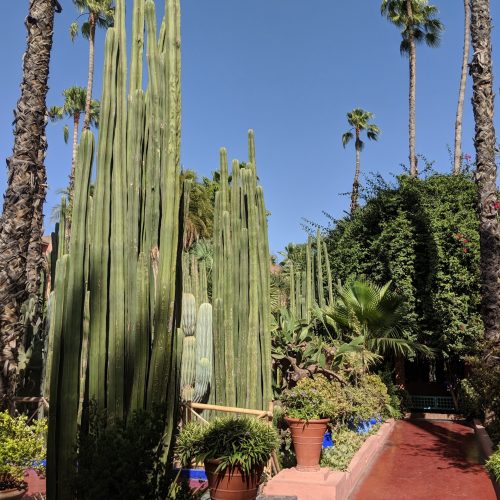 Majorelle Garden