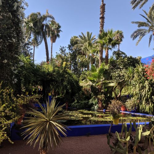 Majorelle Garden