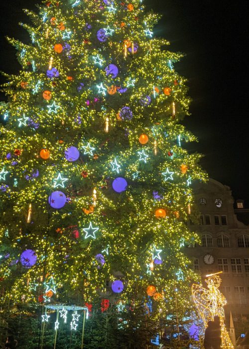 Christmas tree strasboug